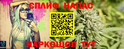 spice Дубна
