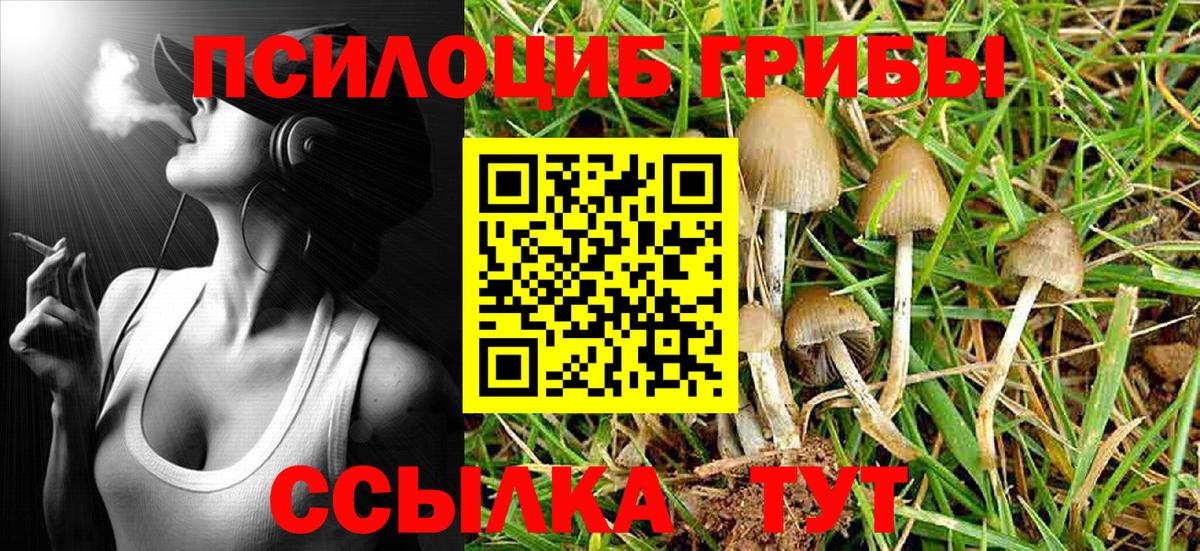 Щёкино  Галлюциногенные грибы Magic Shrooms  купить наркоту  Вход с VPN 
